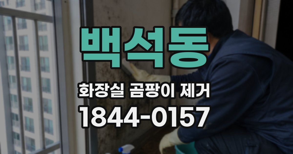 백석동 화장실 곰팡이 제거