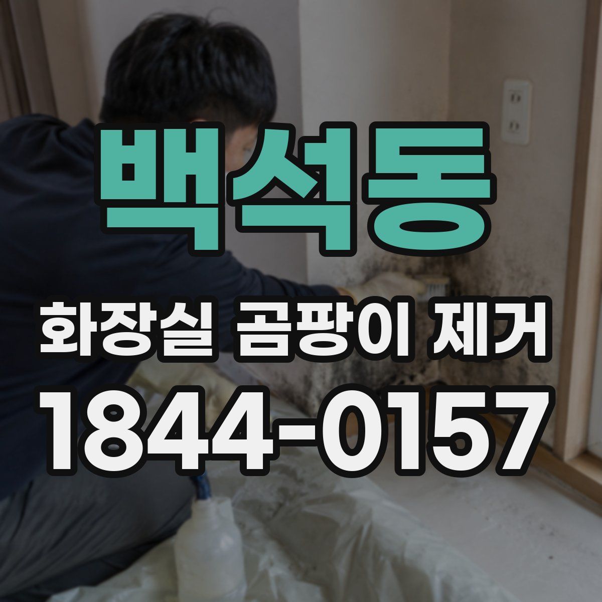 백석동 화장실 곰팡이 제거