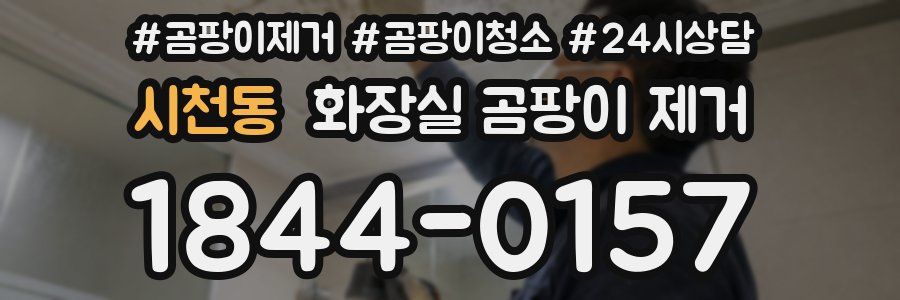 시천동 화장실 곰팡이 제거