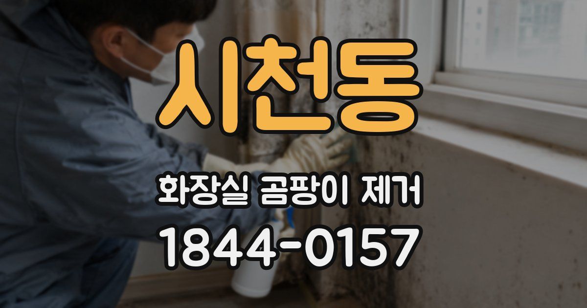 시천동 화장실 곰팡이 제거