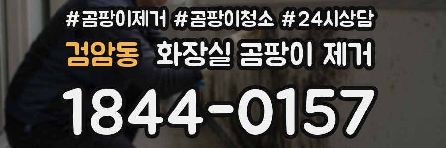 검암동 화장실 곰팡이 제거