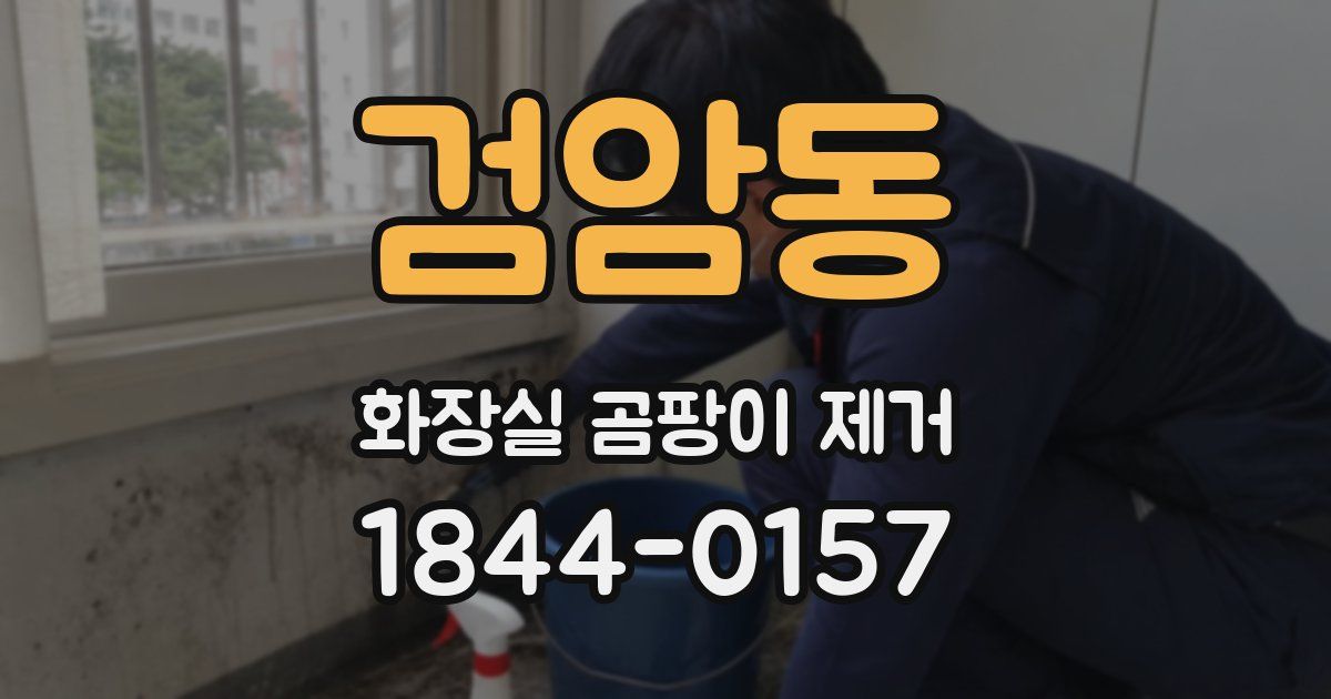 검암동 화장실 곰팡이 제거