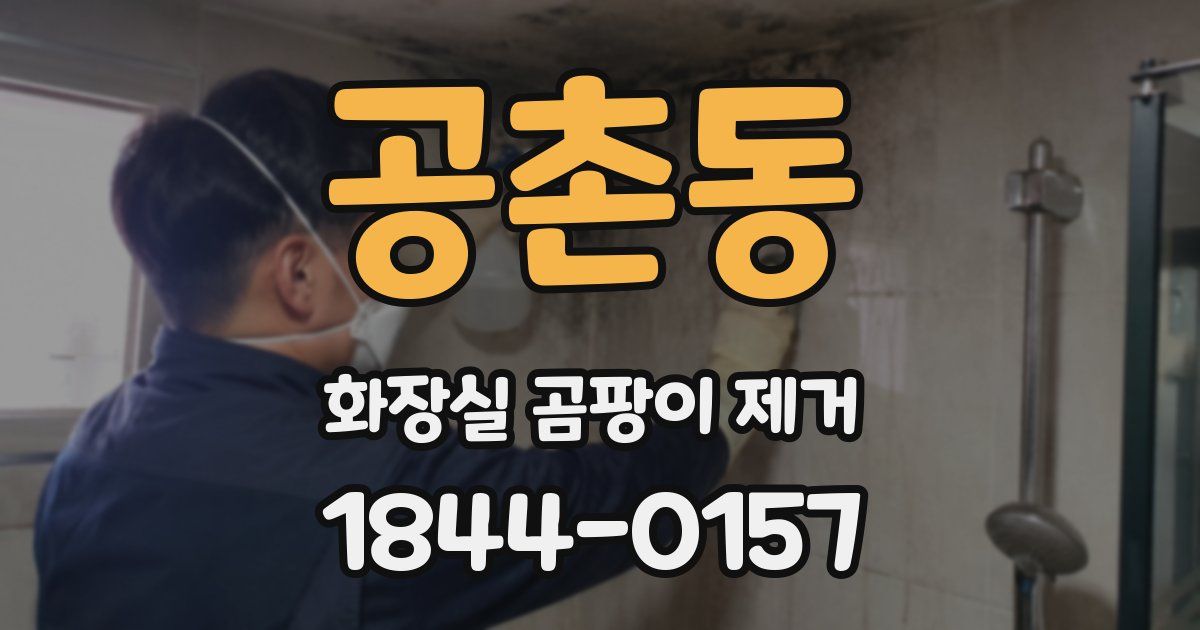 공촌동 화장실 곰팡이 제거