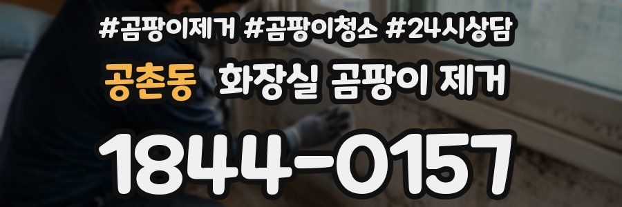 공촌동 화장실 곰팡이 제거