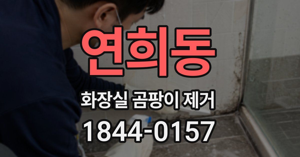 연희동 화장실 곰팡이 제거