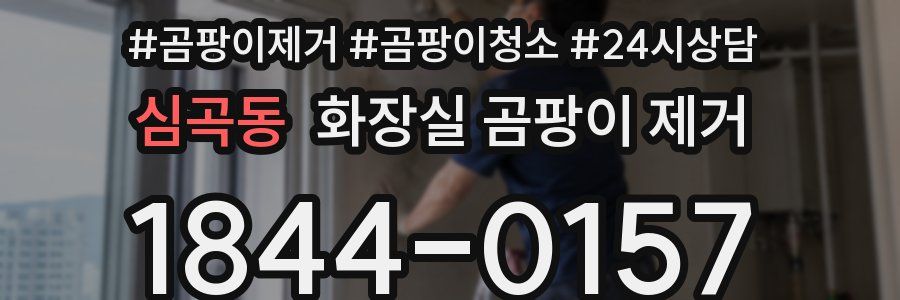 심곡동 화장실 곰팡이 제거