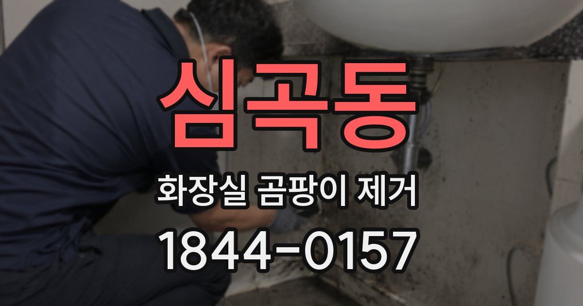 심곡동 화장실 곰팡이 제거