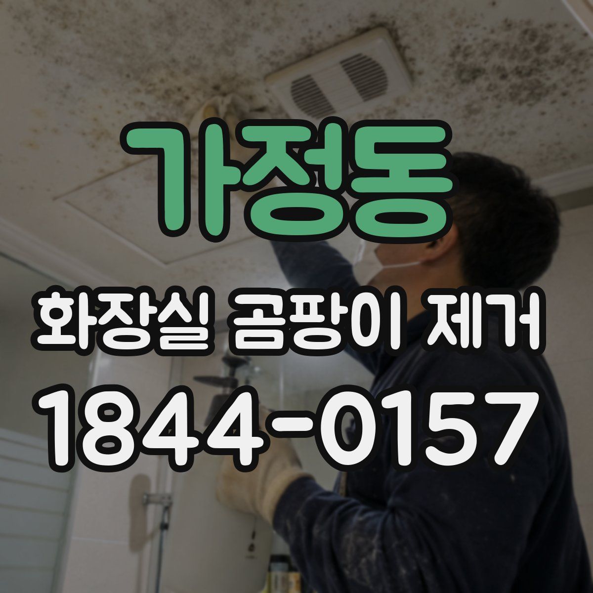 가정동 화장실 곰팡이 제거