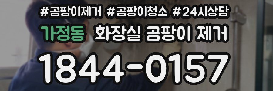 가정동 화장실 곰팡이 제거
