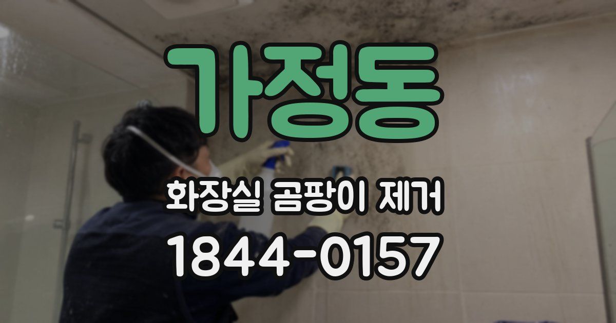 가정동 화장실 곰팡이 제거