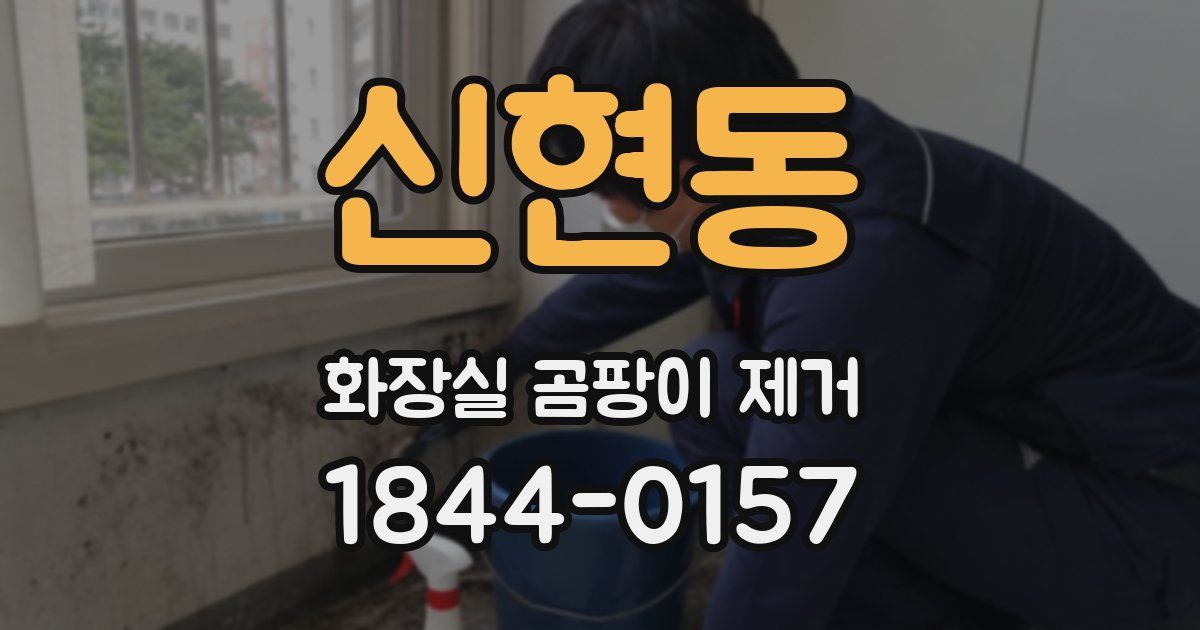 신현동 화장실 곰팡이 제거