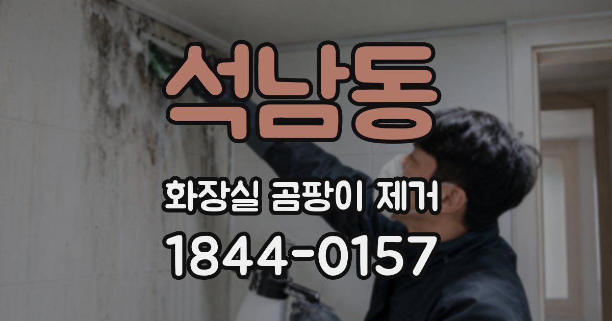석남동 화장실 곰팡이 제거