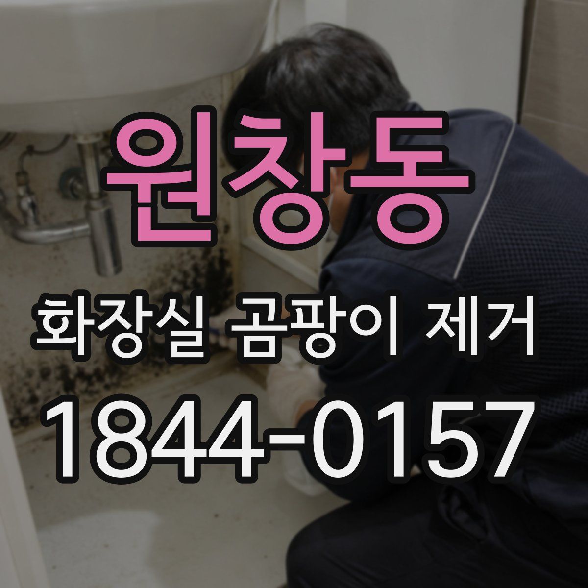 원창동 화장실 곰팡이 제거