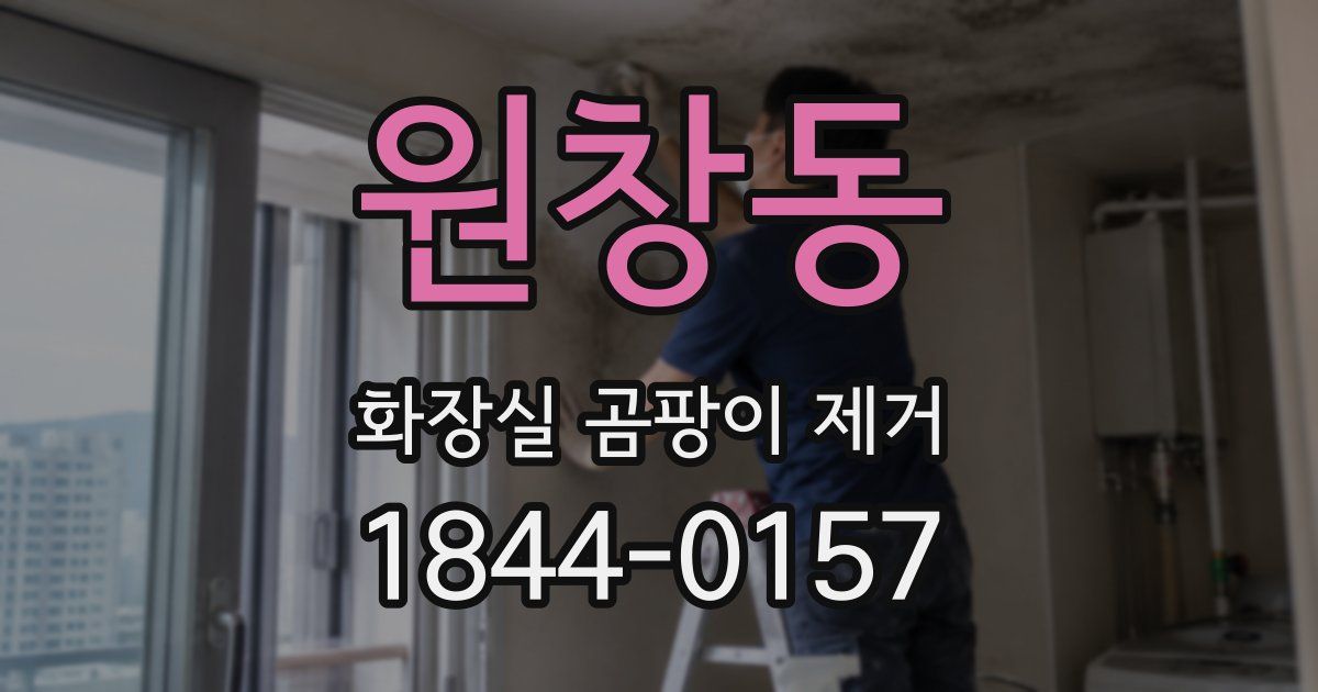 원창동 화장실 곰팡이 제거