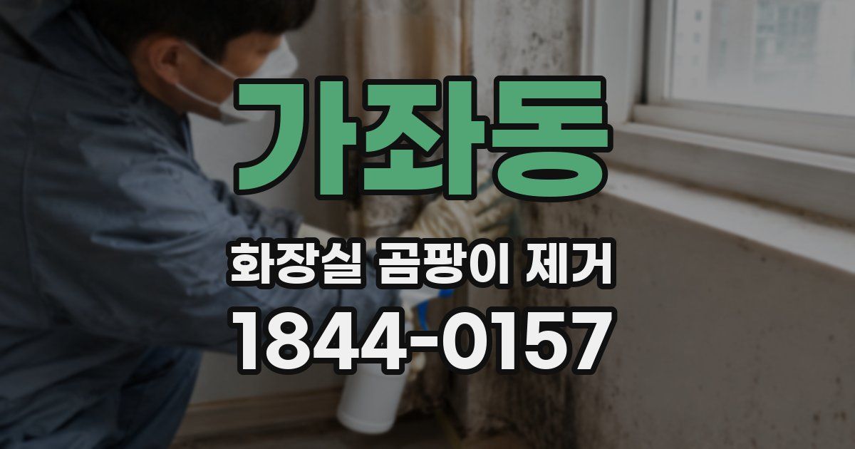 가좌동 화장실 곰팡이 제거