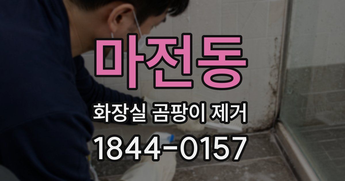 마전동 화장실 곰팡이 제거