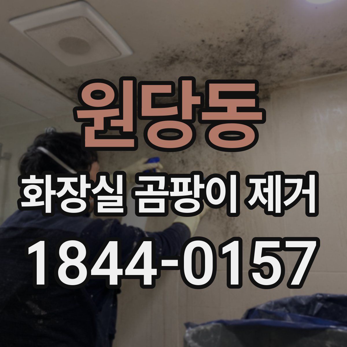 원당동 화장실 곰팡이 제거