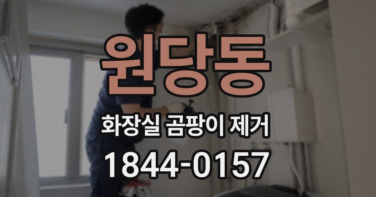 원당동 화장실 곰팡이 제거