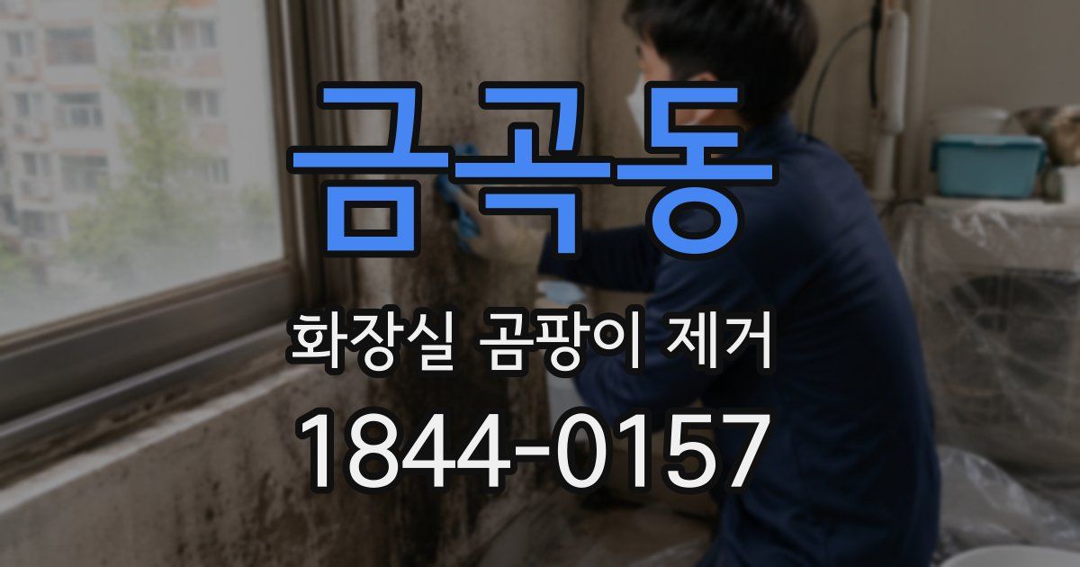 금곡동 화장실 곰팡이 제거