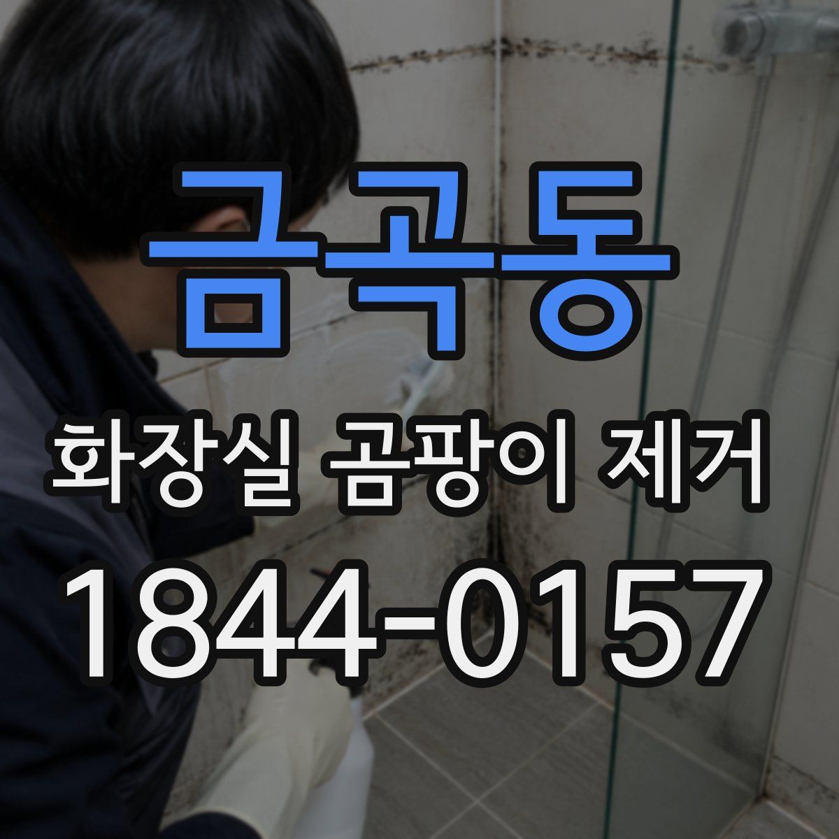 금곡동 화장실 곰팡이 제거