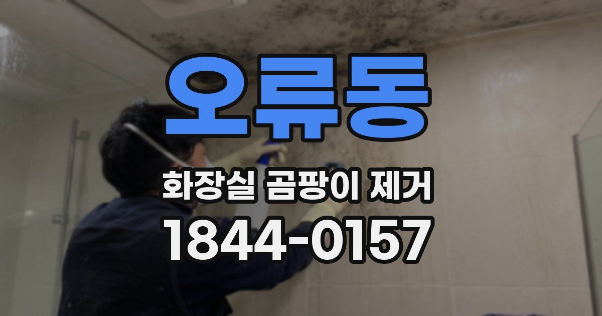 오류동 화장실 곰팡이 제거