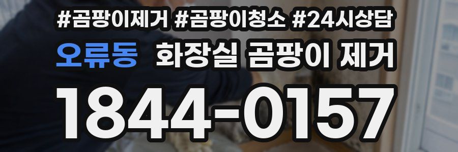 오류동 화장실 곰팡이 제거
