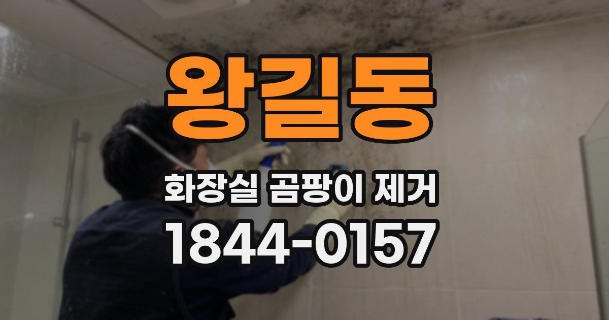 왕길동 화장실 곰팡이 제거