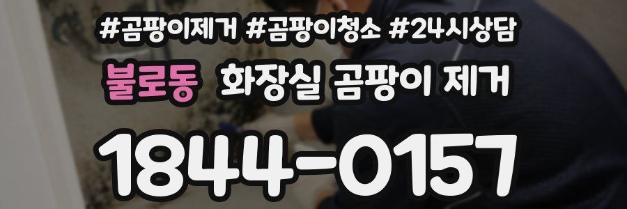 불로동 화장실 곰팡이 제거