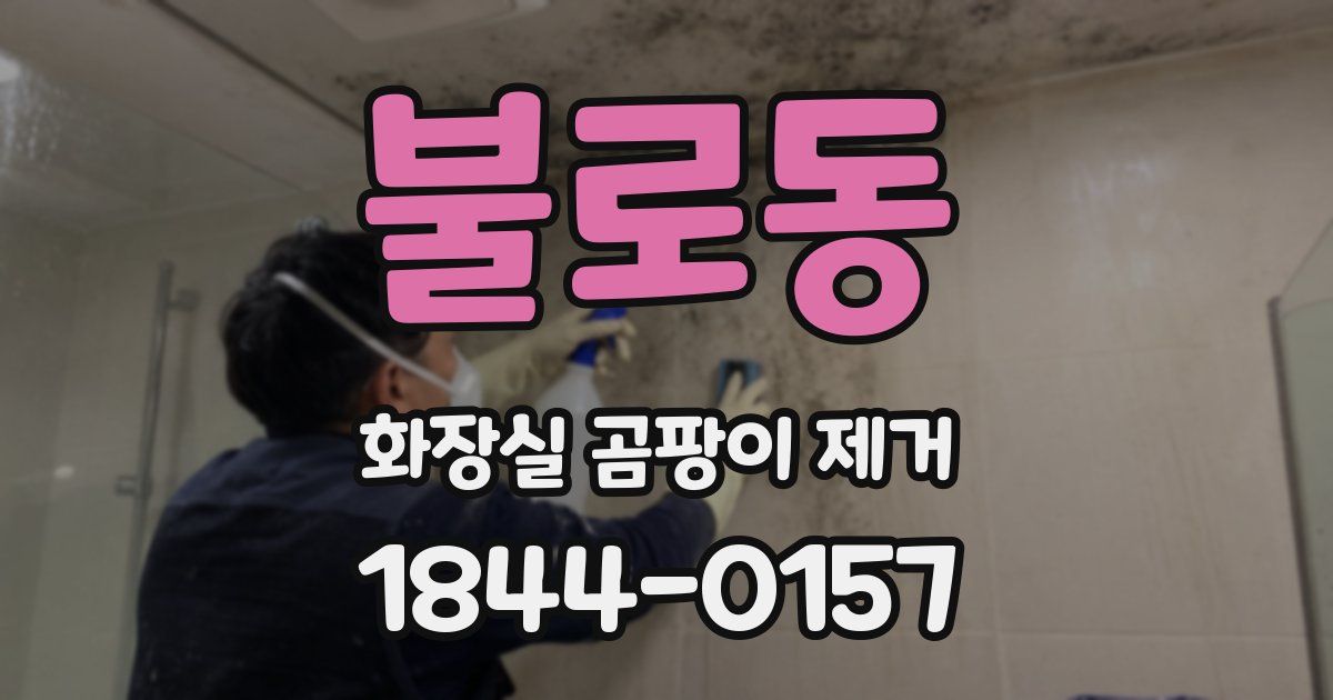불로동 화장실 곰팡이 제거