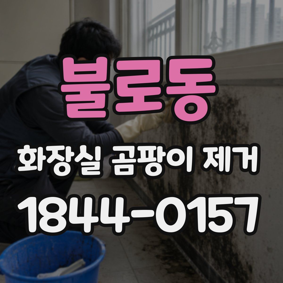 불로동 화장실 곰팡이 제거