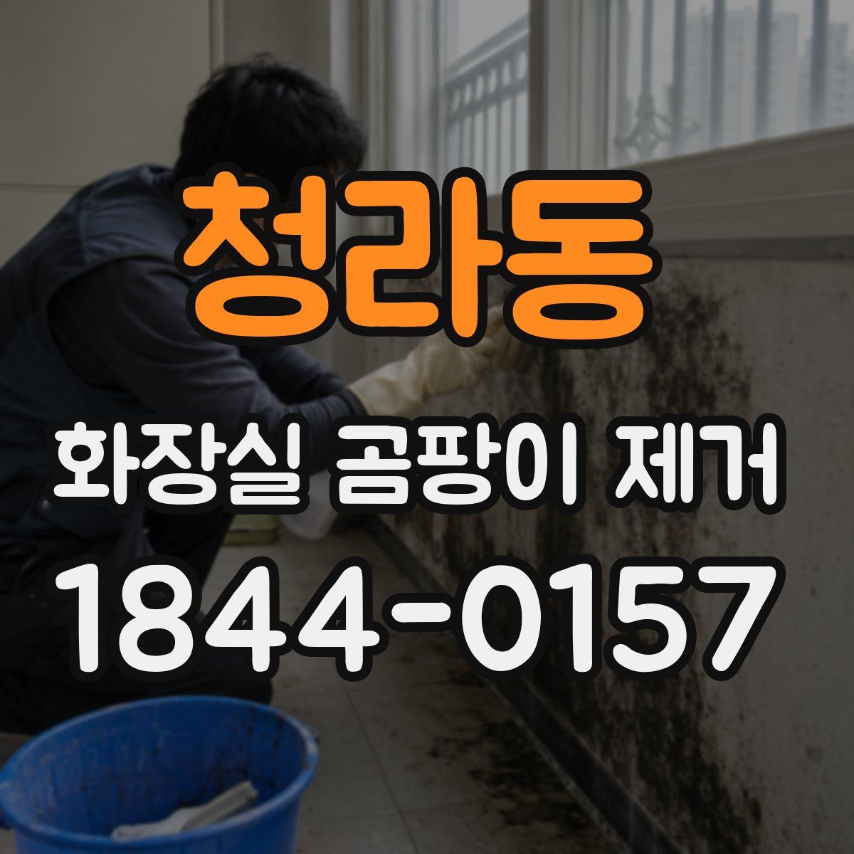 청라동 화장실 곰팡이 제거