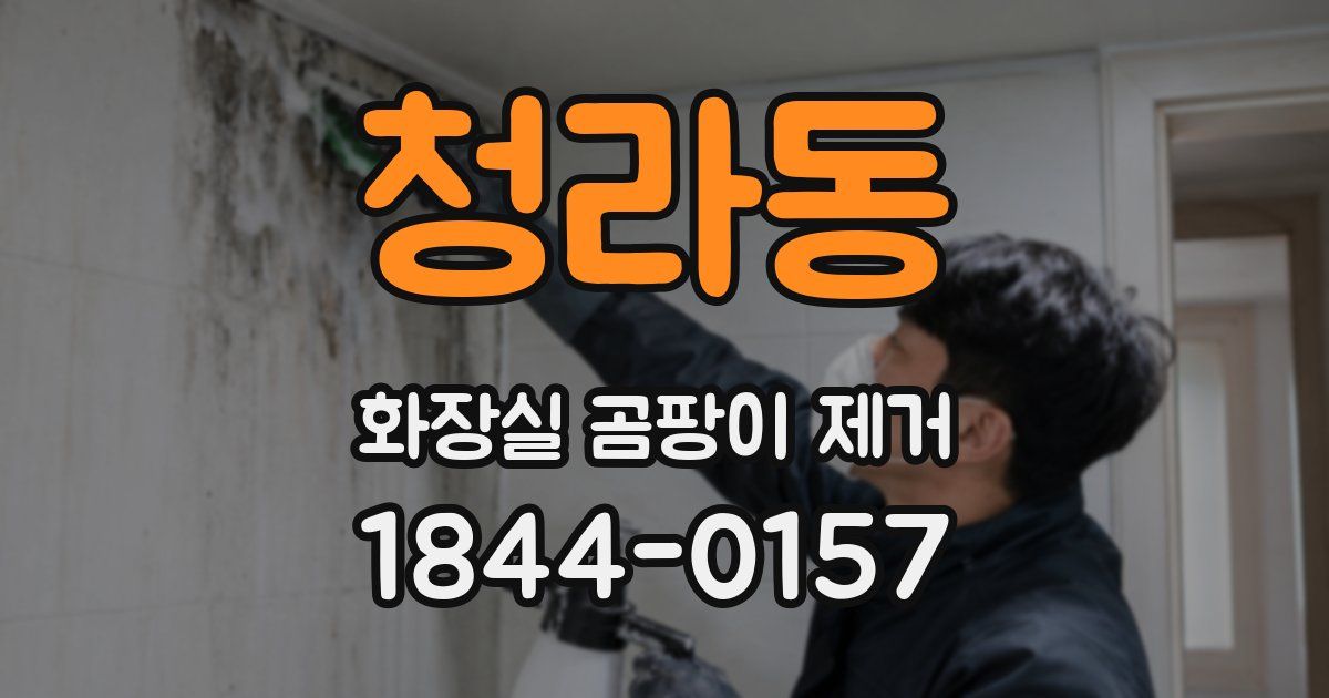 청라동 화장실 곰팡이 제거