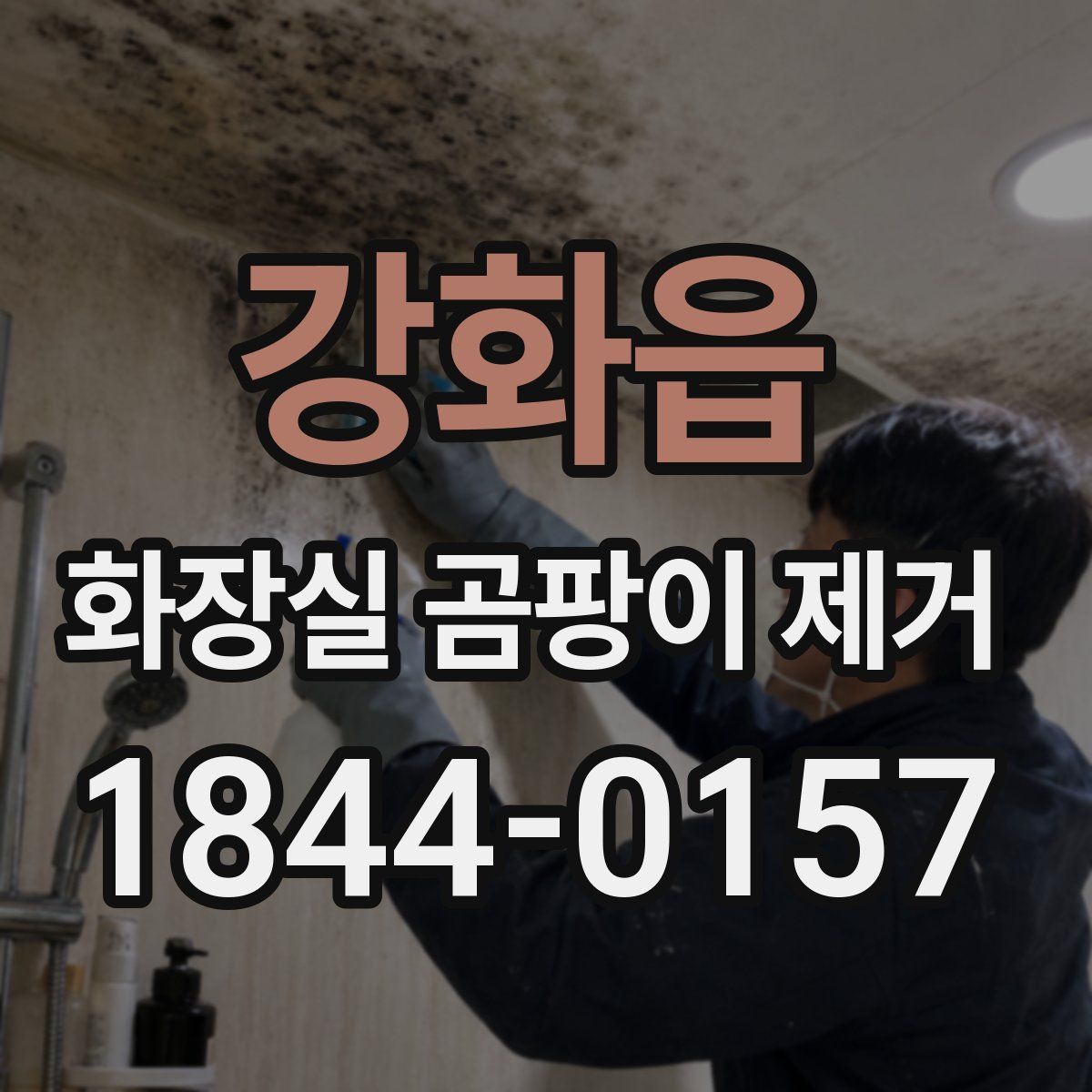 강화읍 화장실 곰팡이 제거