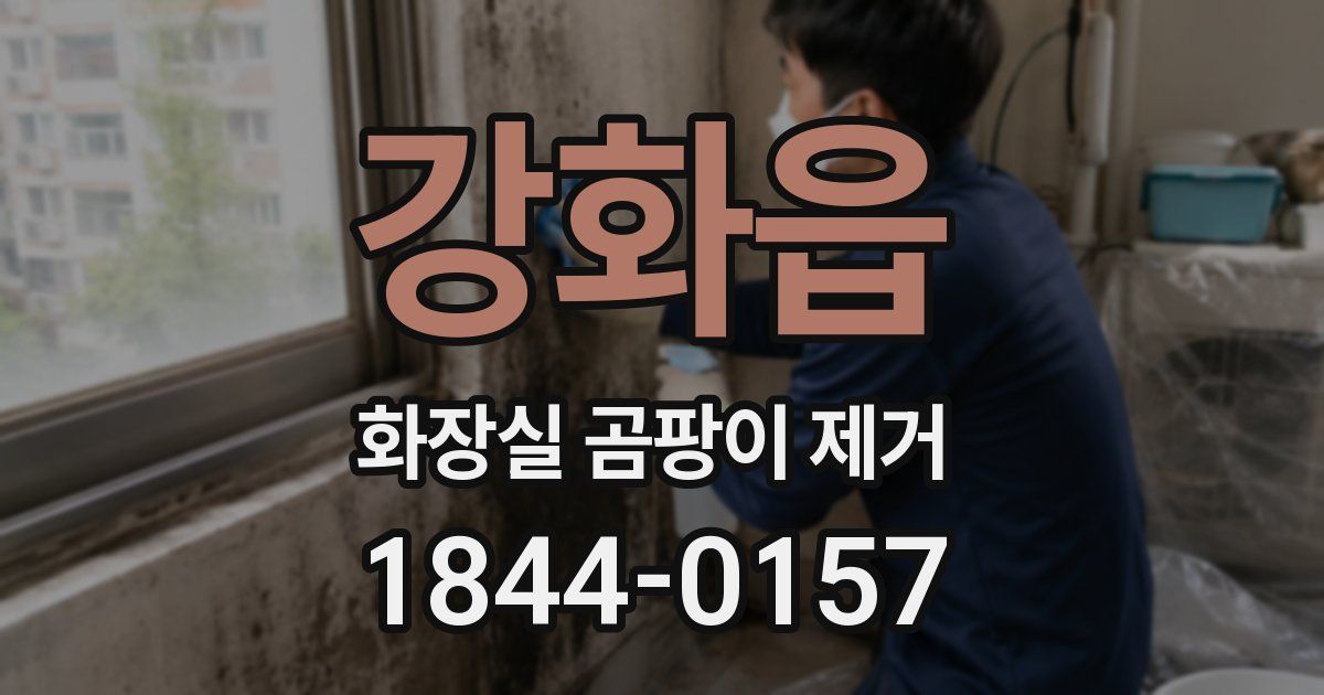 강화읍 화장실 곰팡이 제거