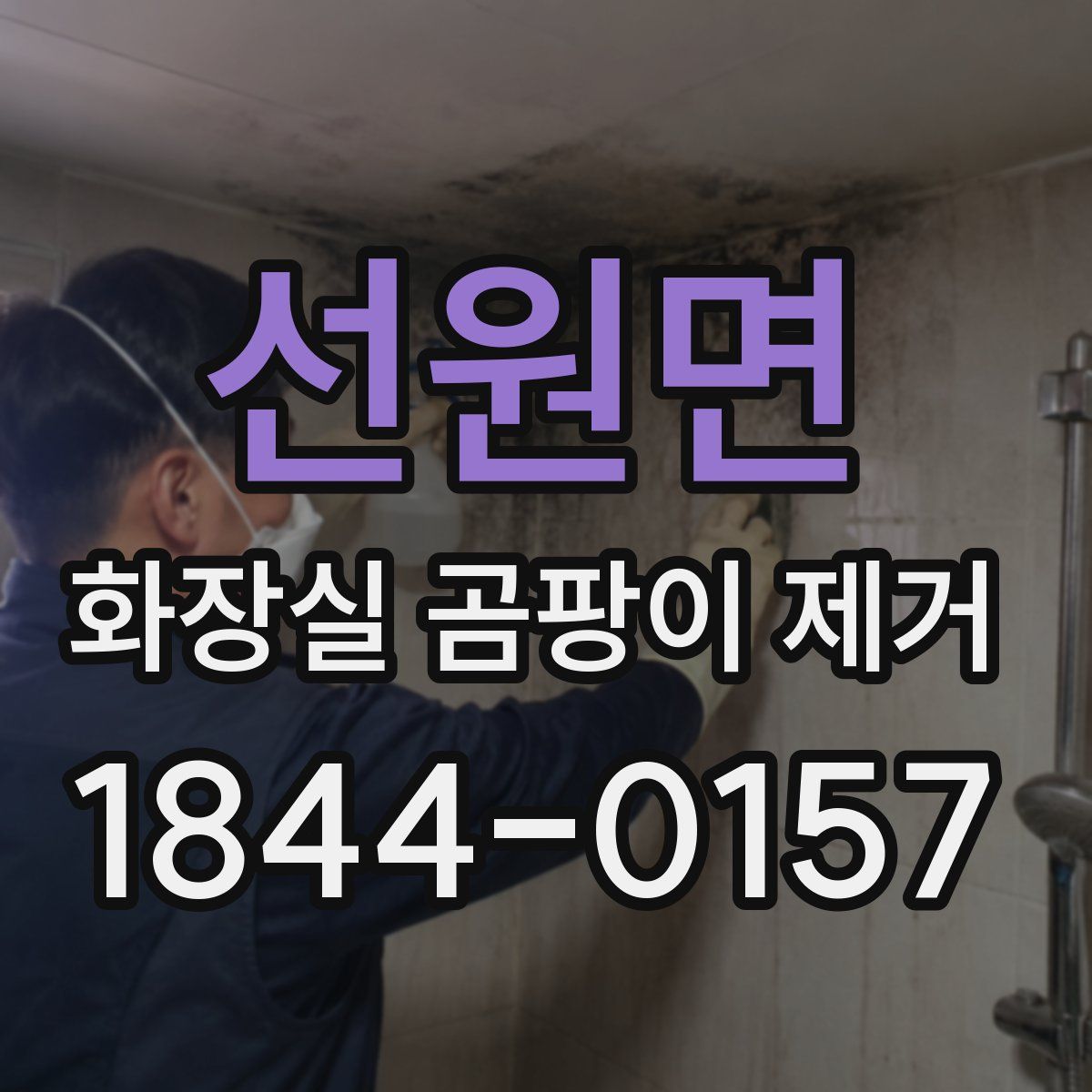 선원면 화장실 곰팡이 제거