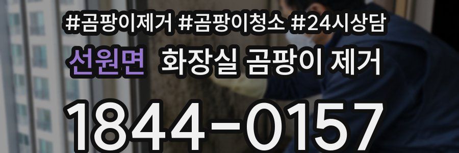 선원면 화장실 곰팡이 제거