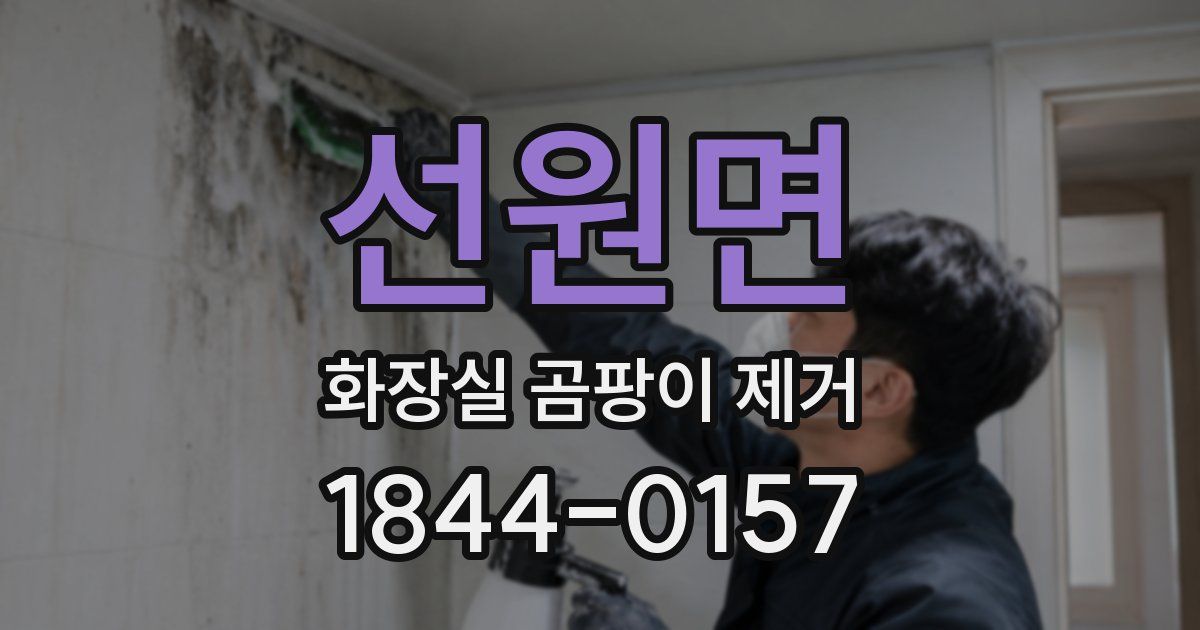 선원면 화장실 곰팡이 제거