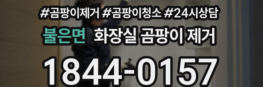 불은면 화장실 곰팡이 제거