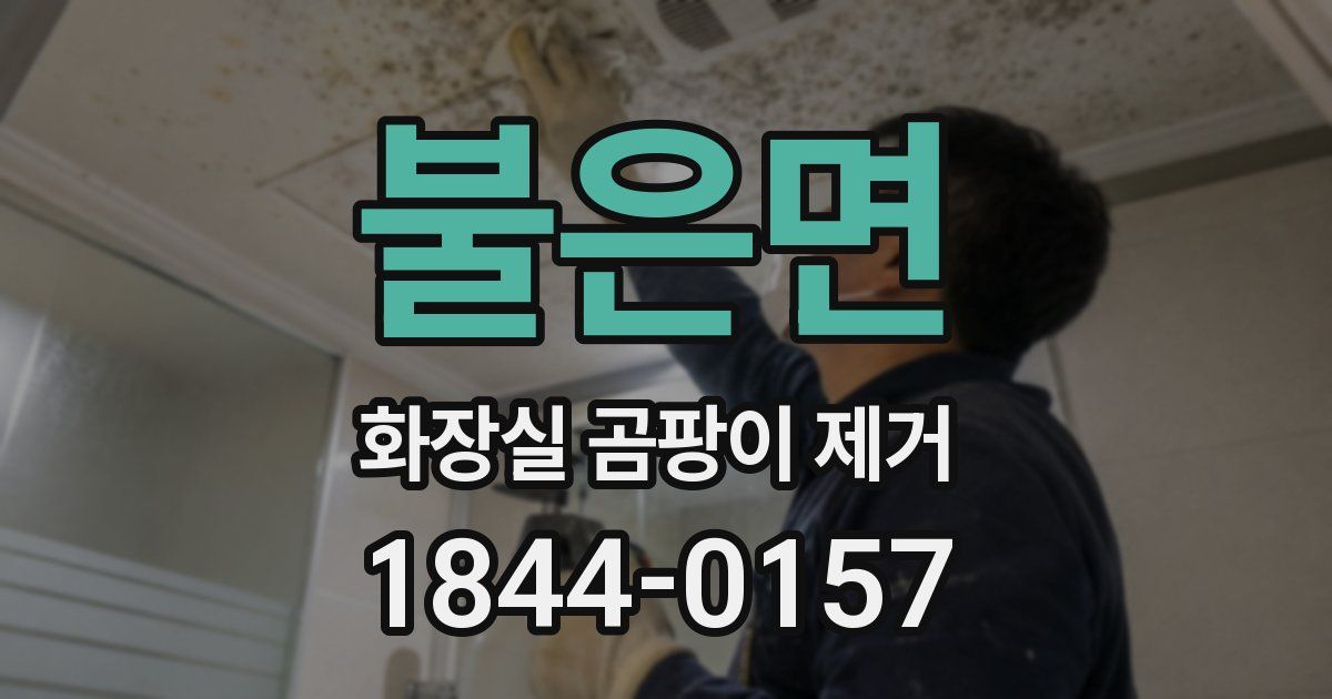 불은면 화장실 곰팡이 제거
