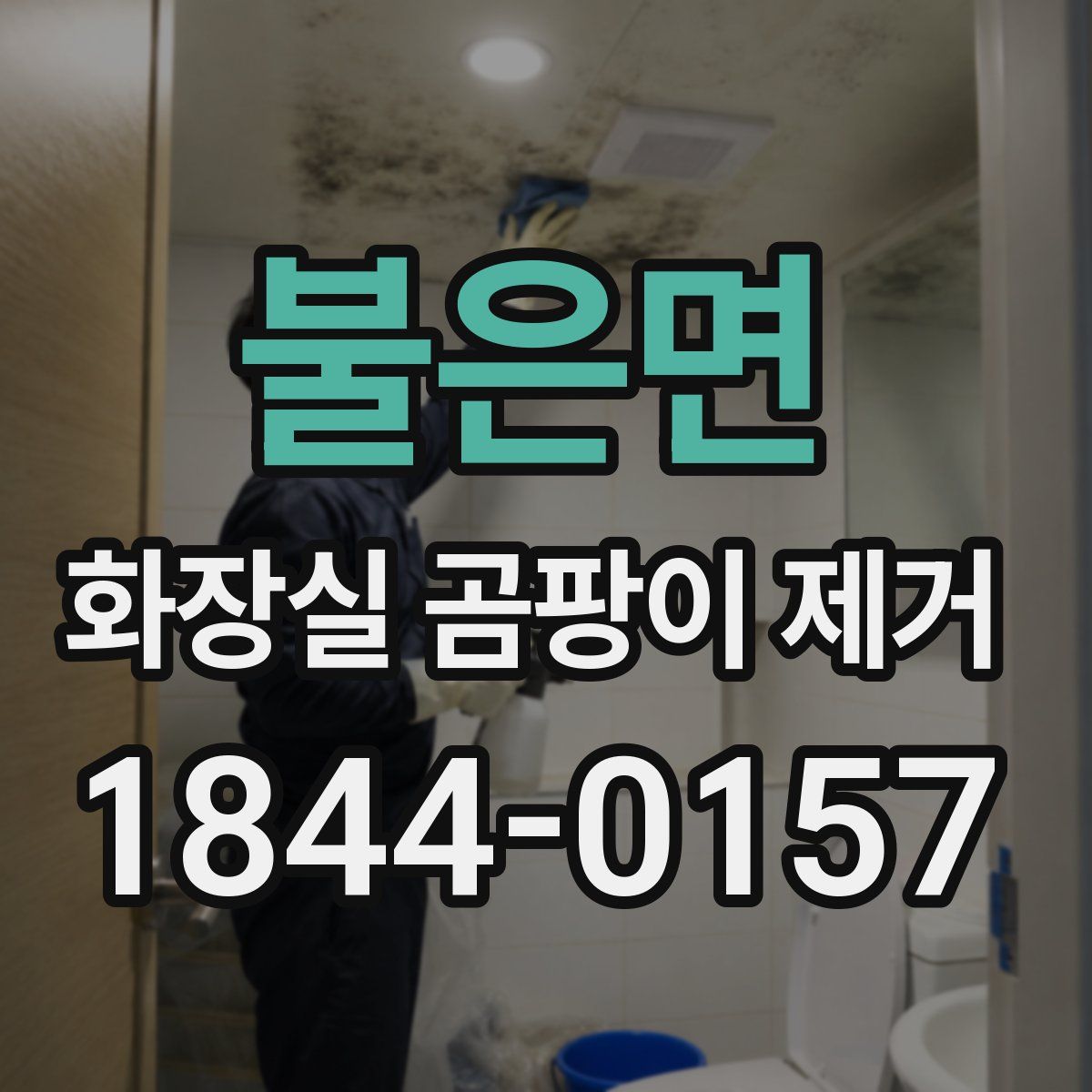불은면 화장실 곰팡이 제거