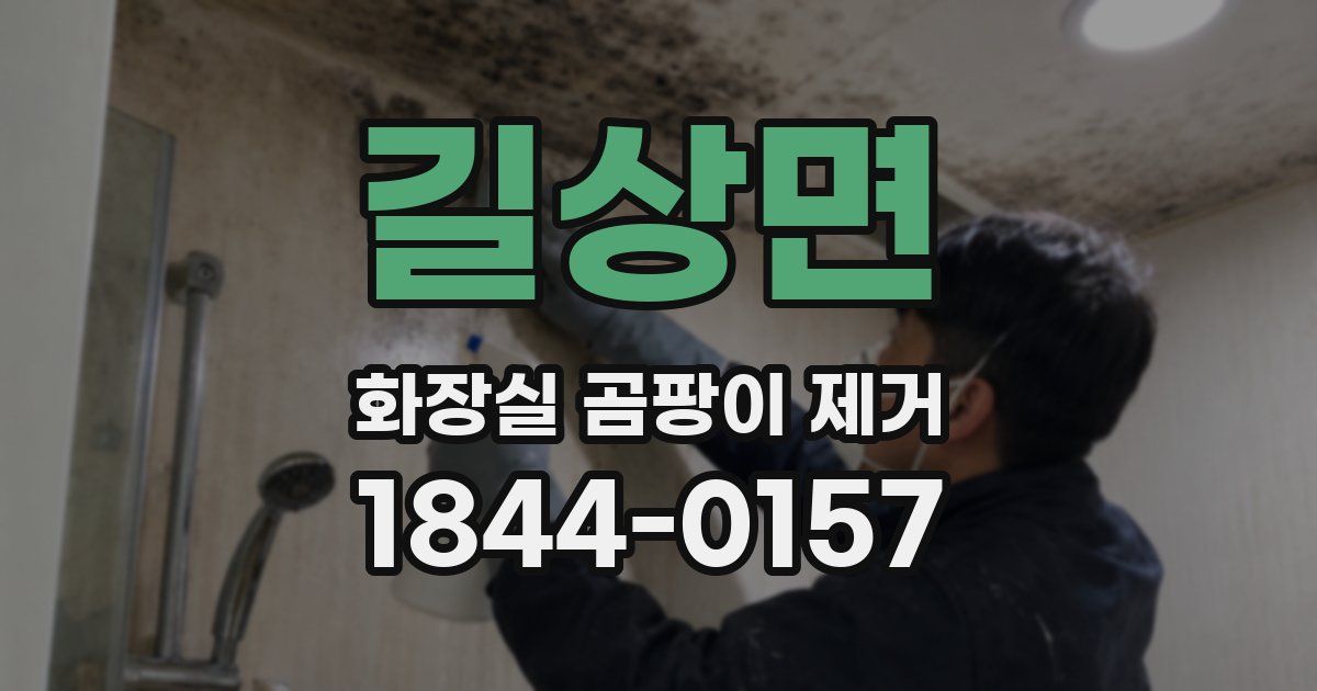 길상면 화장실 곰팡이 제거