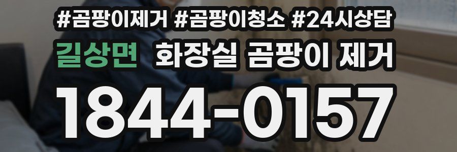 길상면 화장실 곰팡이 제거