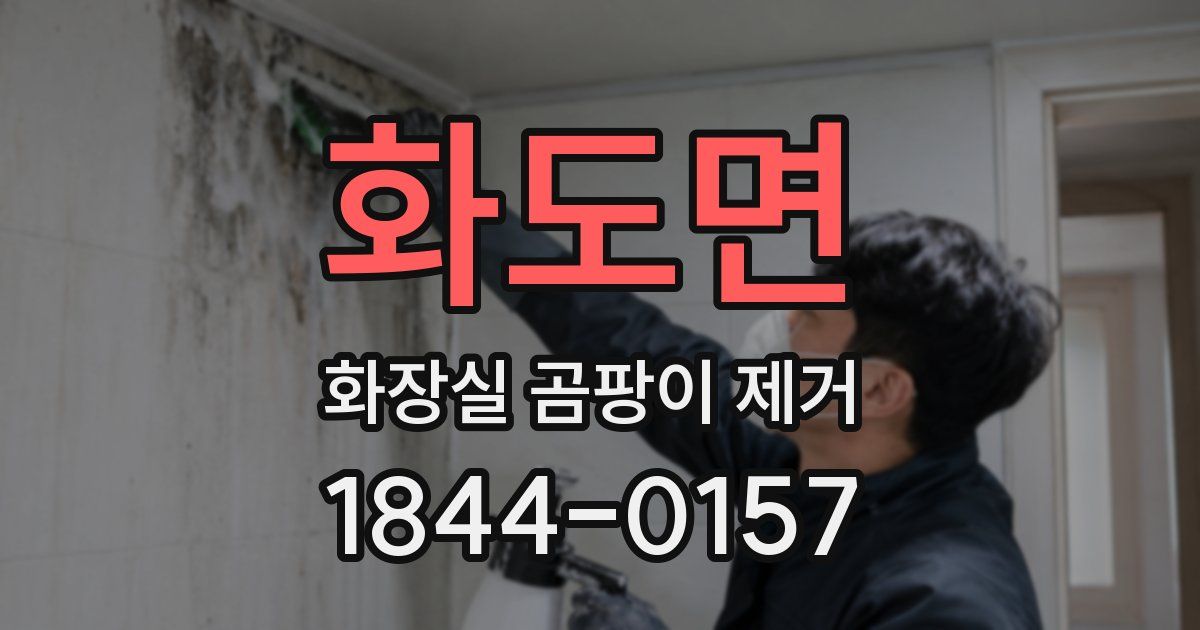 화도면 화장실 곰팡이 제거