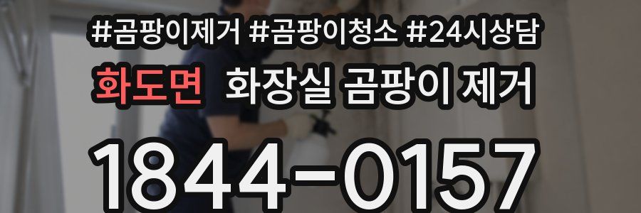 화도면 화장실 곰팡이 제거