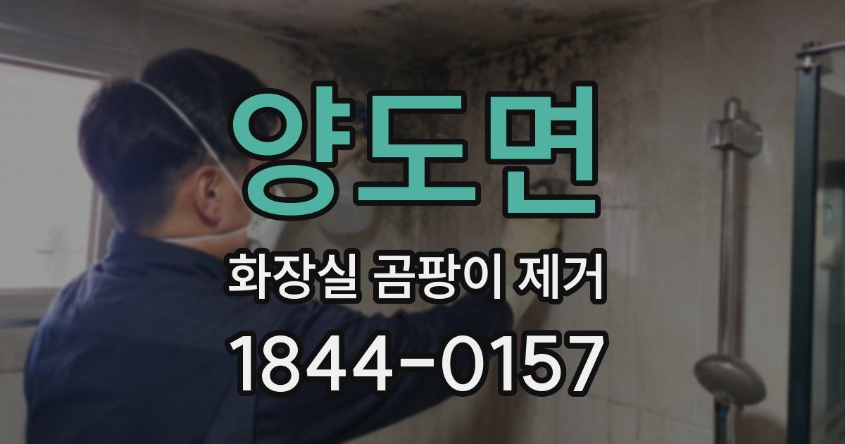 양도면 화장실 곰팡이 제거