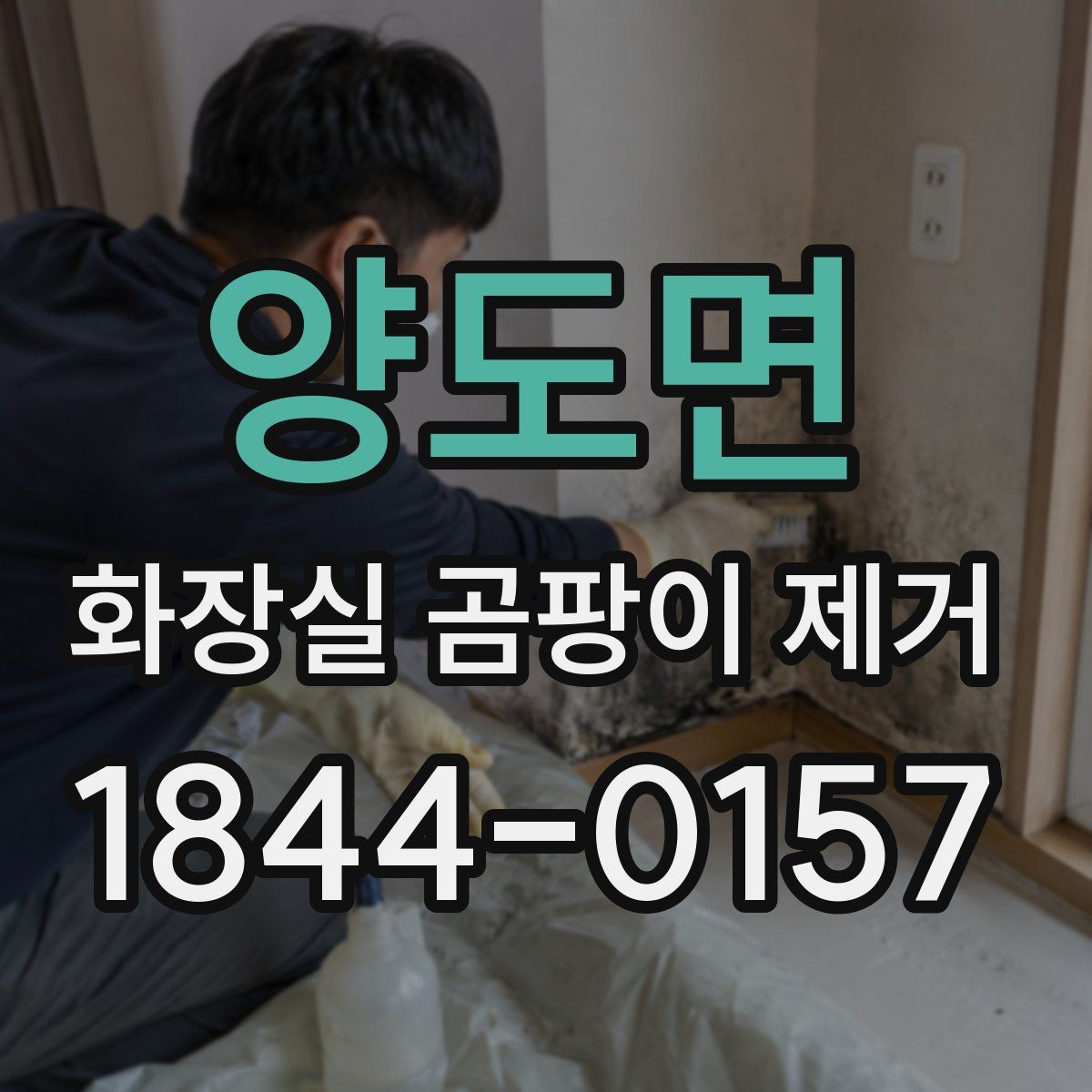 양도면 화장실 곰팡이 제거