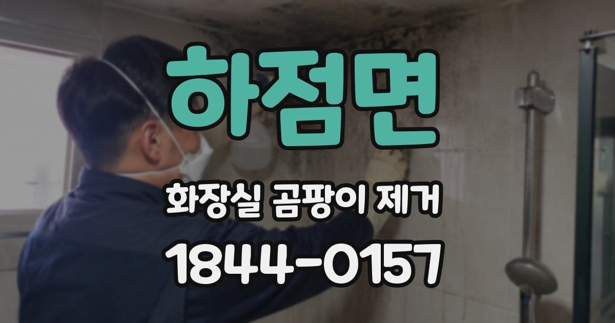 하점면 화장실 곰팡이 제거