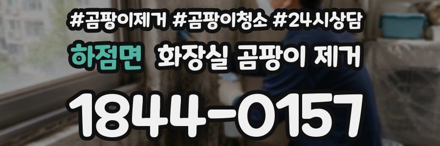 하점면 화장실 곰팡이 제거
