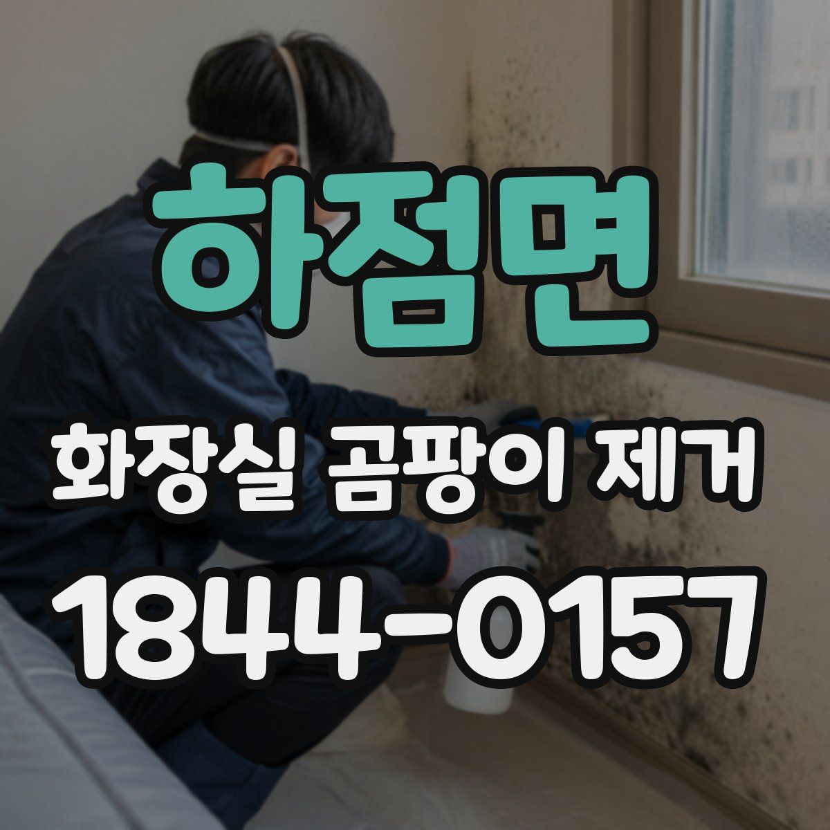 하점면 화장실 곰팡이 제거