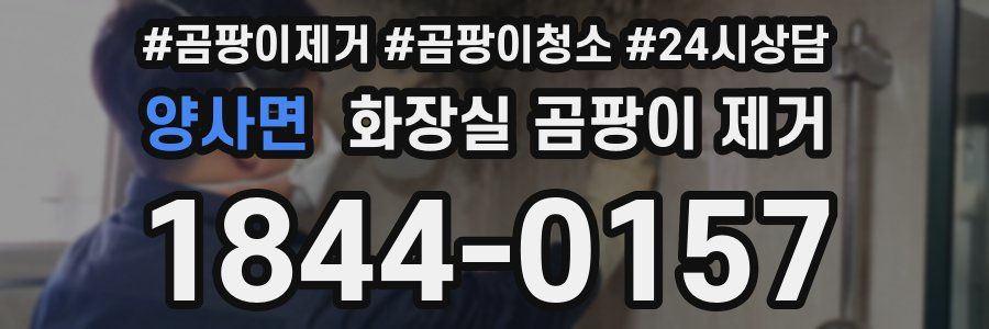 양사면 화장실 곰팡이 제거